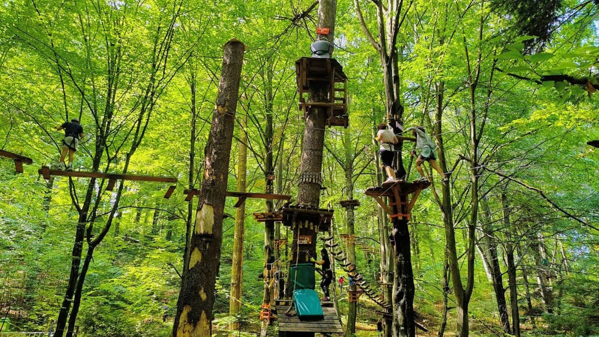 Parc Aventura Brașov