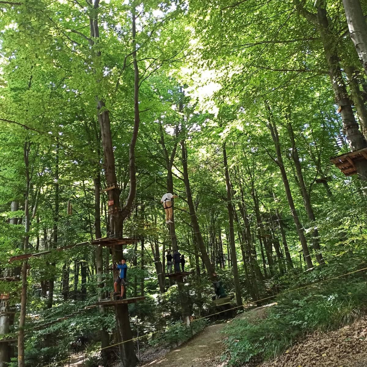 Parc Aventura Brașov — 3