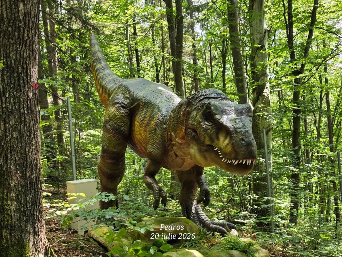 Dino Parc Râșnov — 2