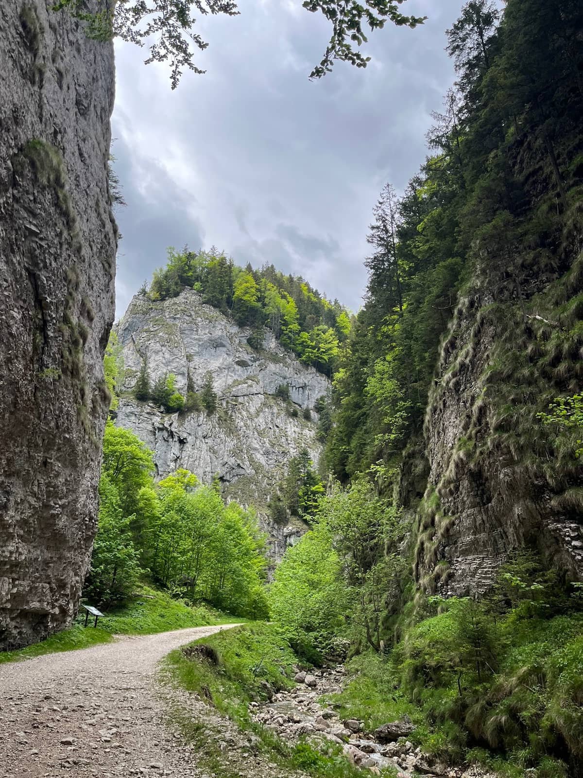 Piatra Craiului și Prăpăstiile Zărneștilor: de la canionul ușor la creasta serioasă