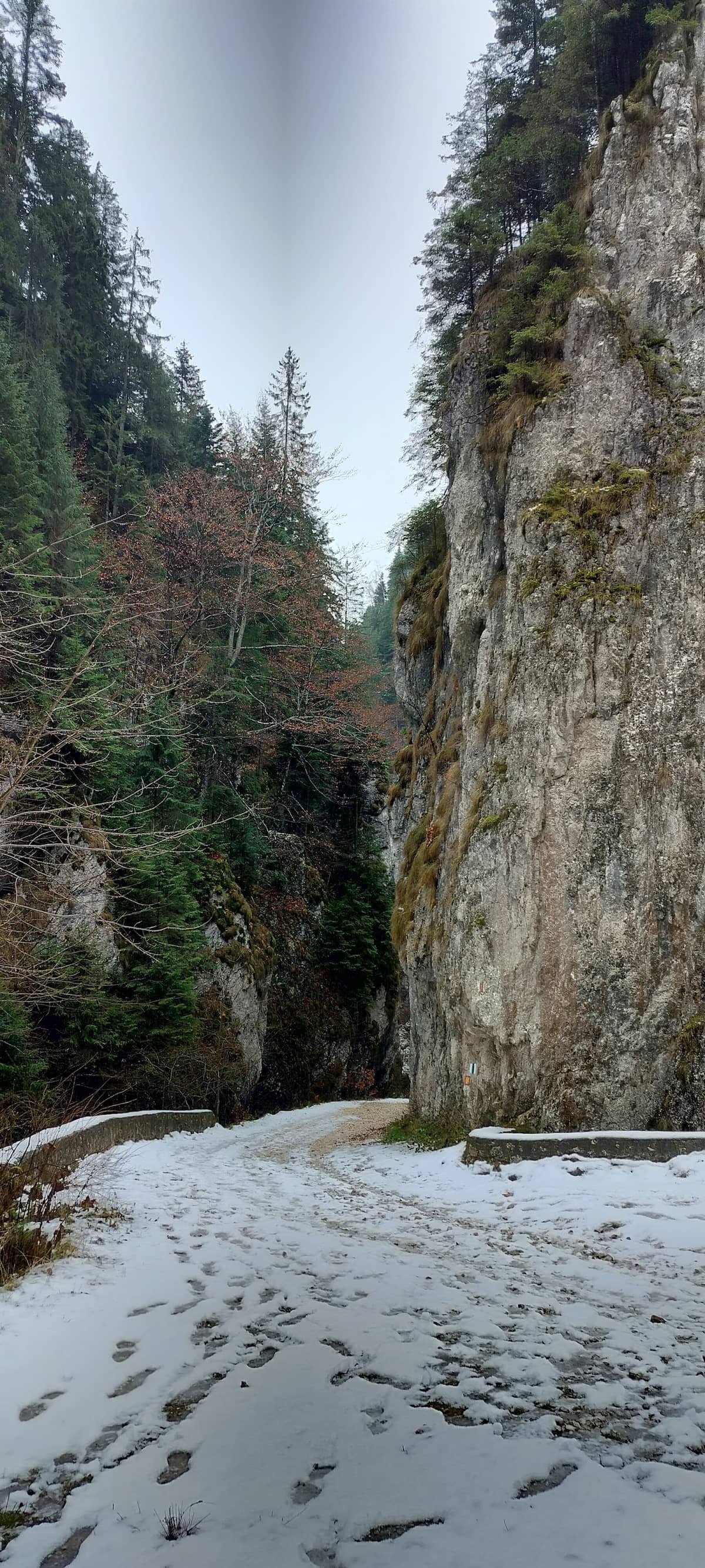 Prăpăstiile Zărneștilor — 2