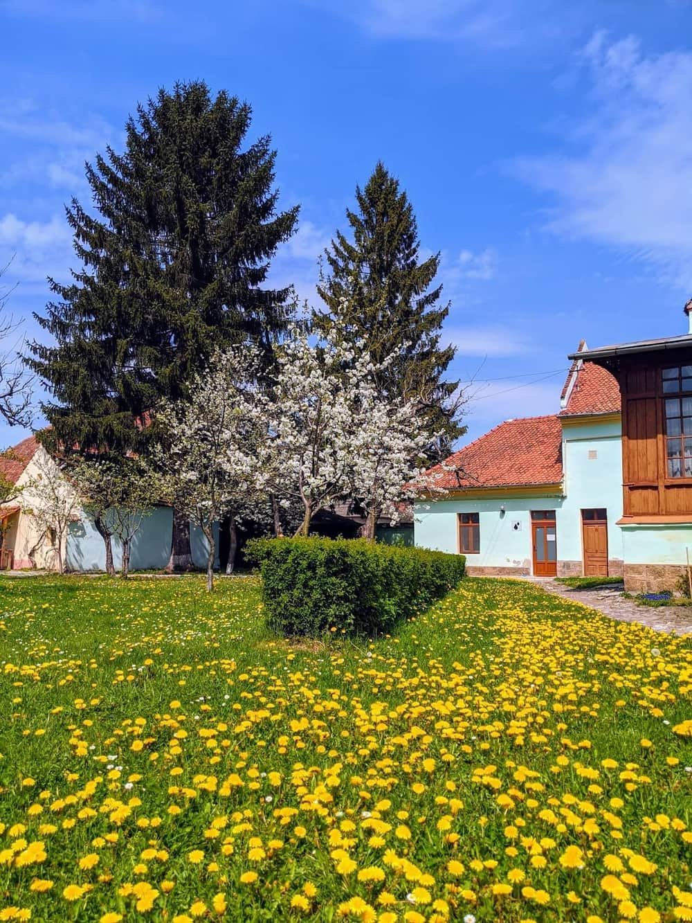 Camping Honigberg